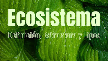 Ecosistema: Definición, Estructura y Tipos