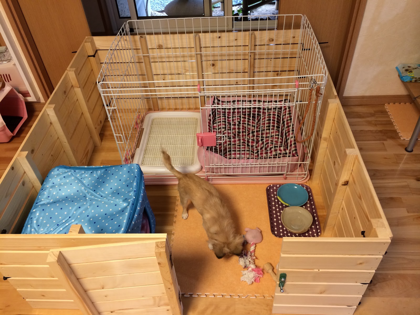 よりみち きっかけ