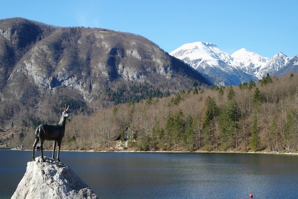 slovénie lac bohinj