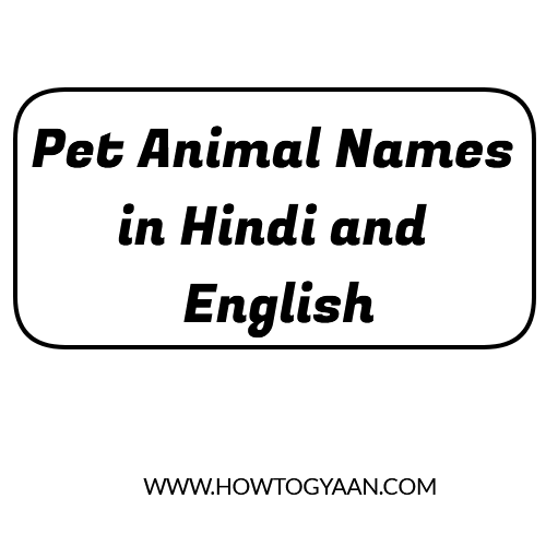 pet animal names, Pet Animal Names in Hindi and English