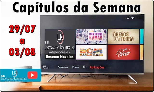 RESUMO DAS NOVELAS - 29/07 A 03/08