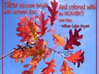 Funny Autumn Quotes4