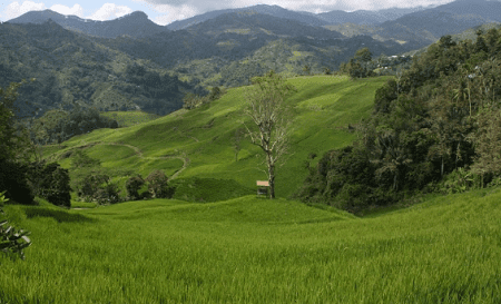 Renungan puisi kehidupan