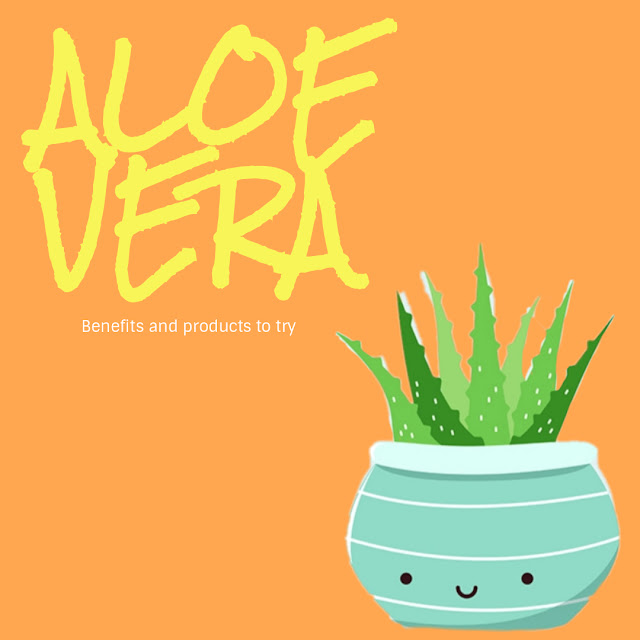 ALOE VERA: Ingredient of the week + Skin Care Benefits and Recommended Products morena filipina skin care blog