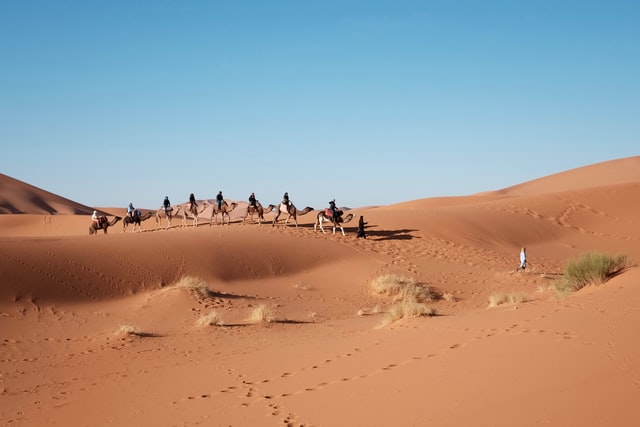 The Sahara Desert is a vast place and it is among the seven wonders of the world.