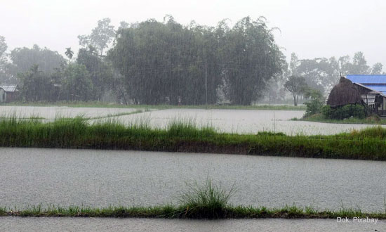 Akibat La Nina, Musim Hujan Diprediksi Lebih Lama, Jateng Waspada Banjir & Tanah Longsor