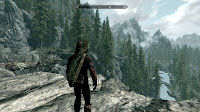 Image result for Skyrim perspective