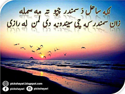 Pashto Poetry