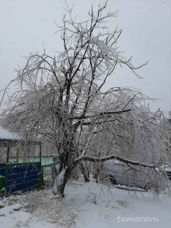 Ледяной дождь во Владивостоке и Приморье