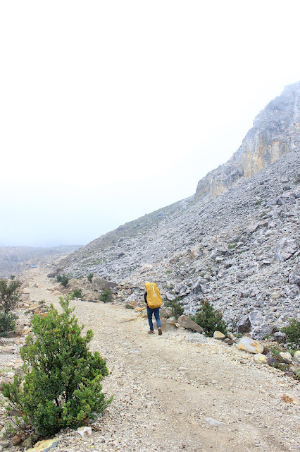 Gunung Papandayan