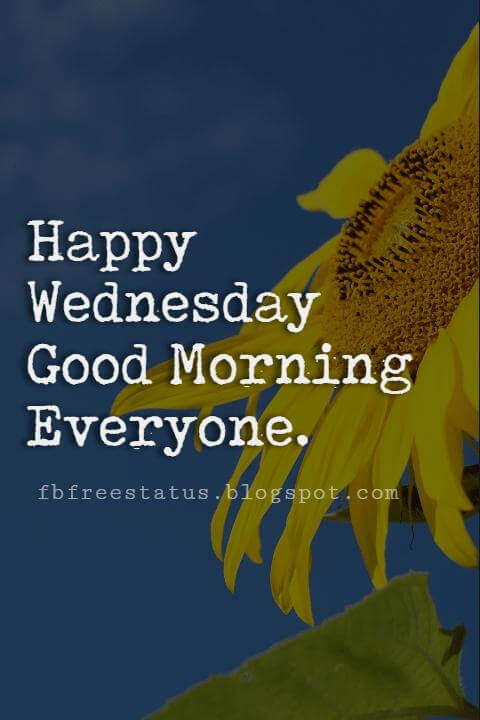 Happy Wednesday Pictures, Happy Wednesday good morning everyone.