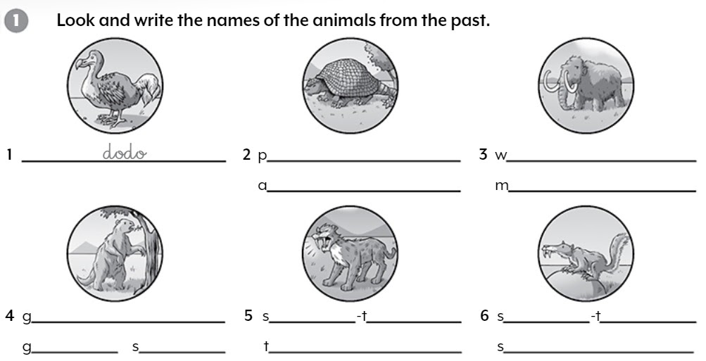 Unit 3 lesson 4