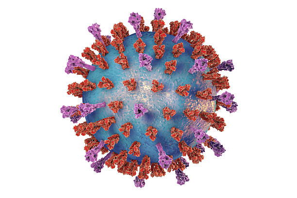 Virus Yang Menyerang Manusia Hewan dan Tumbuhan Lengkap 