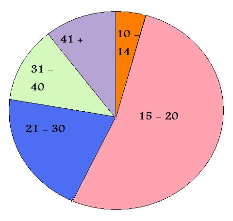 target market chart. is out target audience.