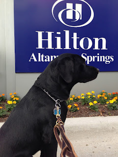 Coach in front of the Hilton Altamonte Springs sign. 