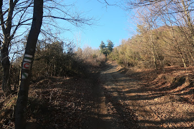 Široká lesná cesta so zelenou značkou vedúca do Brdárky.