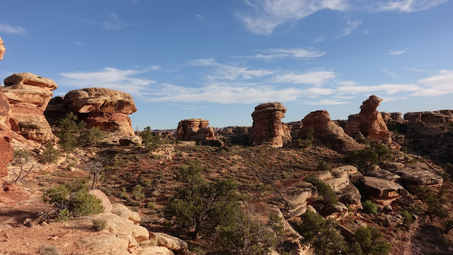 Mushrooms, The Needles, Canyonlands NP