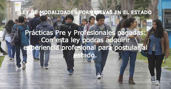 Como Obtener Experiencia Laboral en el Estado?