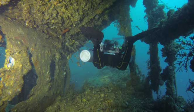 SPOT TERBAIK PENYELAMAN DI PULAU WEH