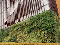 Jasa vertical garden pekalongan