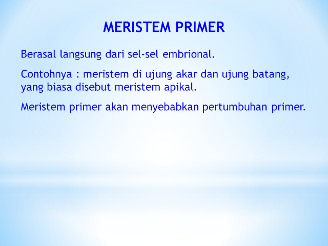 Jaringan Meristem Primer