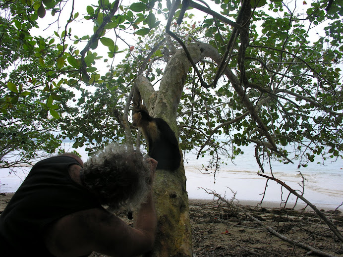 Cara Blanca Cahuita
