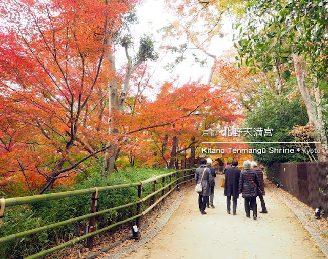 [京都] 北野天満宮の紅葉