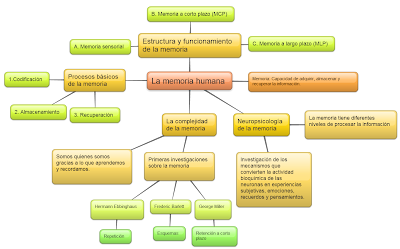 Introducción para una memoria profesional