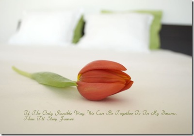 love-wallpaper24