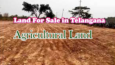 Cheap Agriculture Land for Sale in Telangana