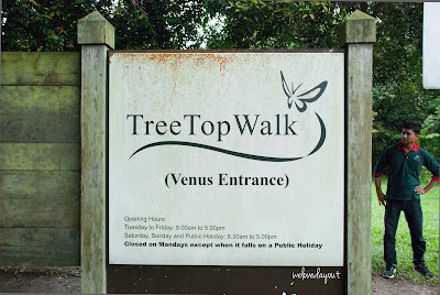 Venus Entrance of TreeTop Walk 