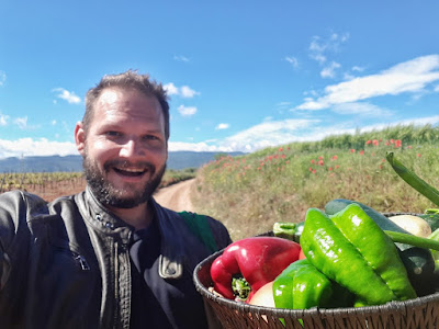 Cistercian route hiking from poblet to vallbona de las monjas Catalonia