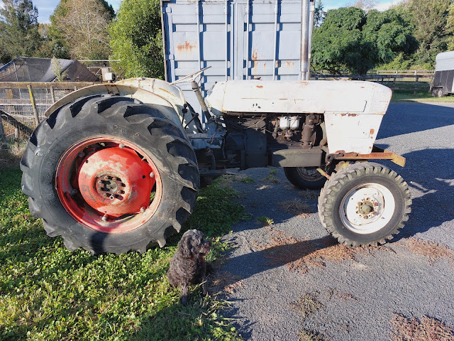 David Brown 880 tractor before electric project started