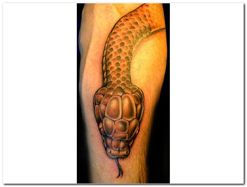 Snake Tattoo Designs 2