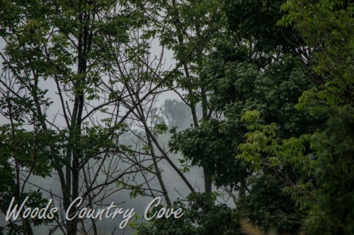 AUGUST 2015 (4 of 6)
