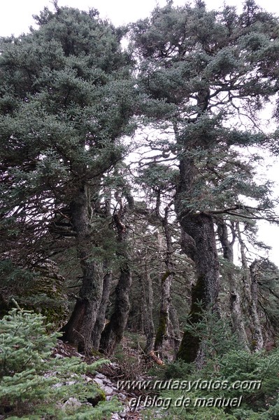 Cañada del Cuerno - Torrecilla - Cañada de las Ánimas