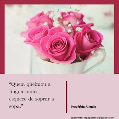 Quem Queimou a Língua