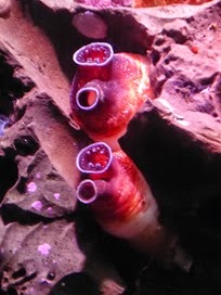 P1000423