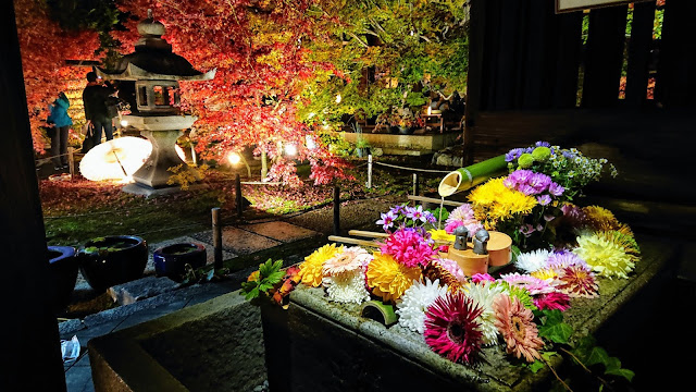 京都 勝林寺 紅葉ライトアップ 花手水