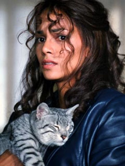 halle berry catwoman makeup. halle berry catwoman pictures.