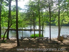 green mountain 059