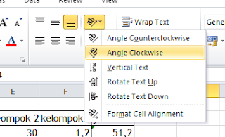 FUNGSI ALIGNMENT PADA MICROSOFT EXCEL.