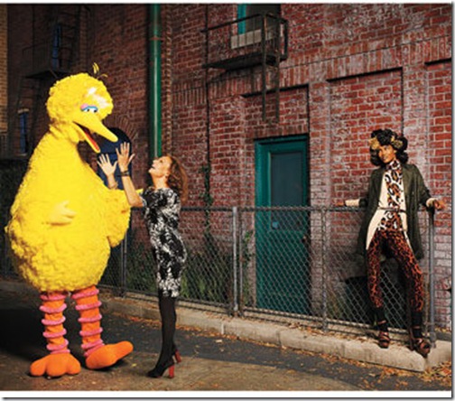 sesame-street-dvf-0909-de[1]-1