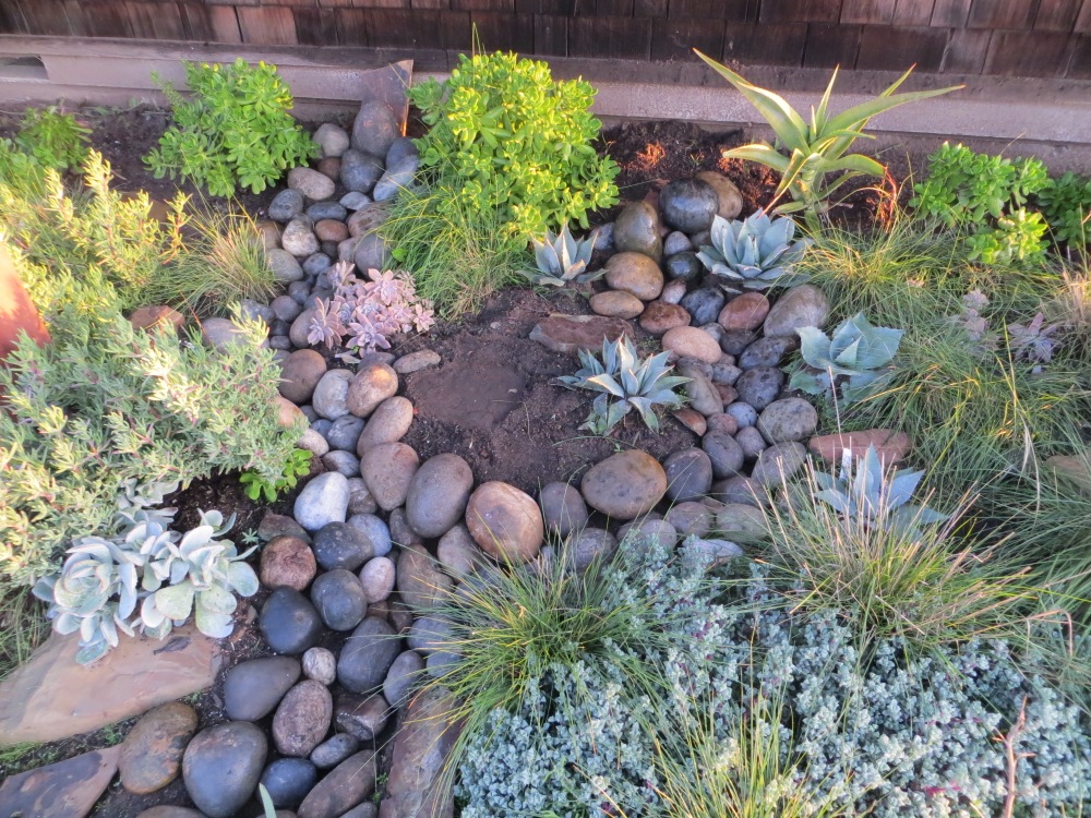 Then I started filling in with the rocks