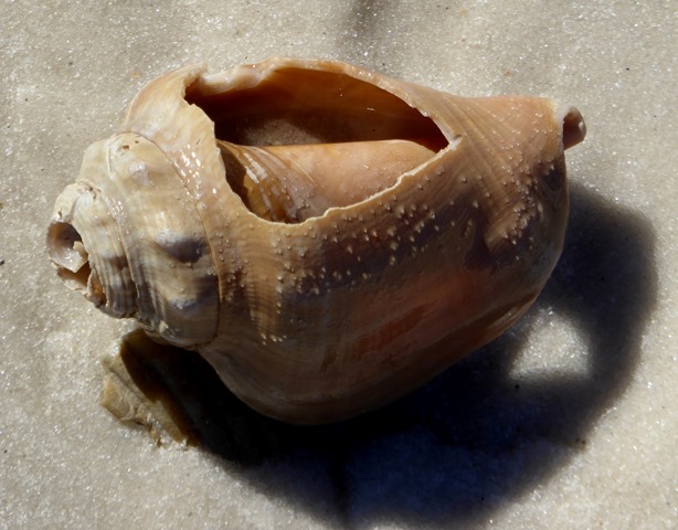 P1100288