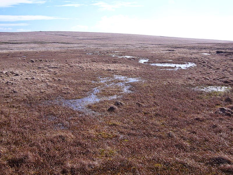 http://commons.m.wikimedia.org/wiki/File:Aune_head_mire3.jpg