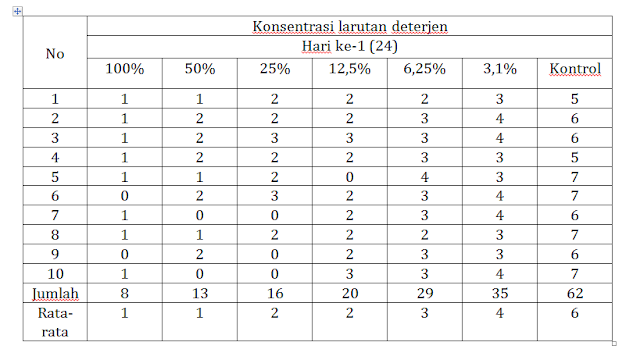 Laporan Praktikum Pengaruh Deterjen Terhadap Perkecambahan (Praktikum IPA di SD)