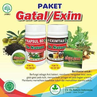 Obat Gatal Eksim Di Telapak Kaki Yang Aman Untuk Ibu Hamil