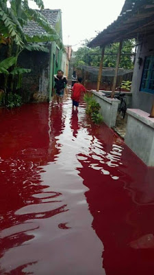 Banjir Merah Pekalongan, Ketua RW: Akibat Pewarna Batik