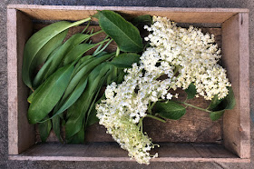 Wild garlic leaves and elderflowers in a wooden tray